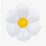 Bóng Hình Hoa Cúc